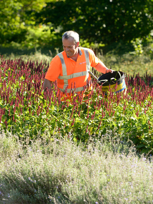 Twente Milieu – Waste guide